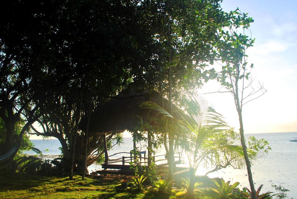 The Blue Orchid Resort Moalboal Exterior photo