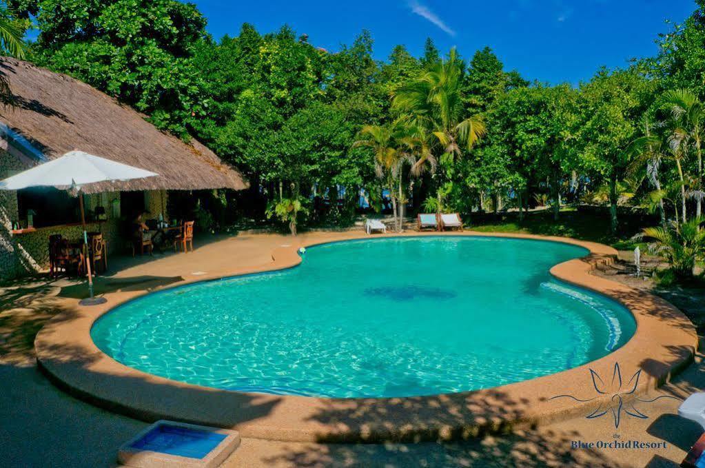 The Blue Orchid Resort Moalboal Exterior photo