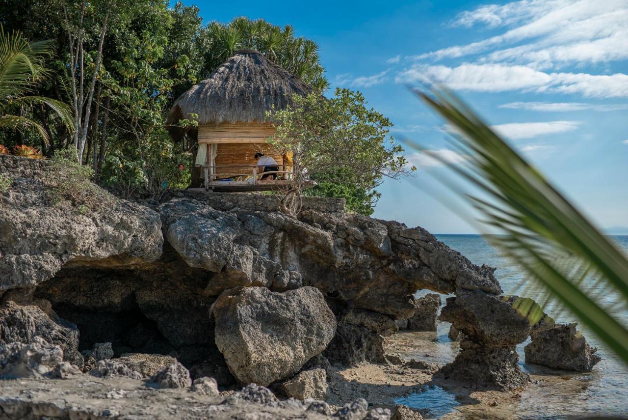 The Blue Orchid Resort Moalboal Exterior photo